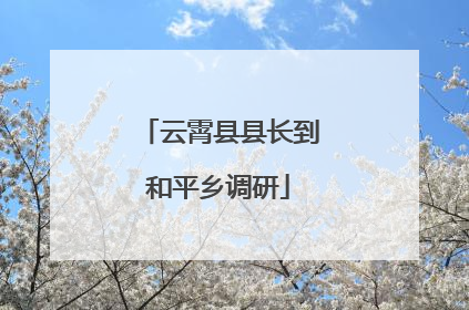云霄县县长到和平乡调研