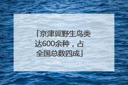 京津冀野生鸟类达600余种，占全国总数四成