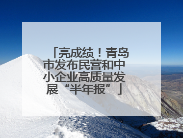 亮成绩！青岛市发布民营和中小企业高质量发展“半年报”