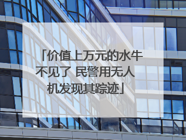 价值上万元的水牛不见了 民警用无人机发现其踪迹