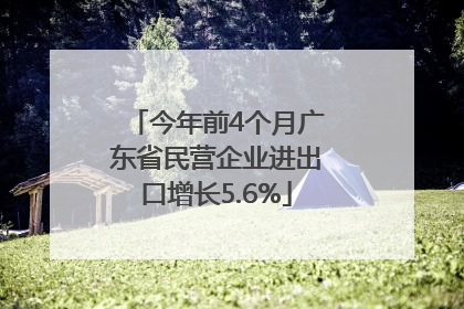 今年前4个月广东省民营企业进出口增长5.6%