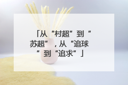 从“村超”到“苏超”，从“追球”到“追求”