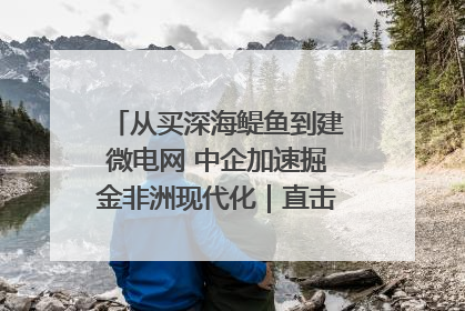 从买深海鳀鱼到建微电网 中企加速掘金非洲现代化｜直击中非经贸博览会