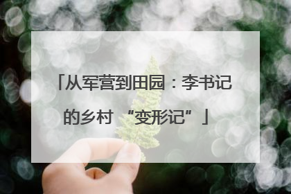从军营到田园：李书记的乡村 “变形记”