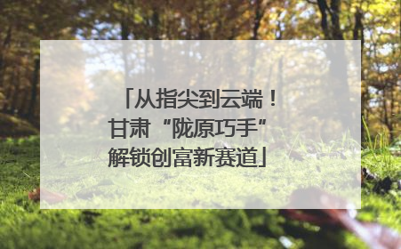 从指尖到云端！甘肃“陇原巧手”解锁创富新赛道