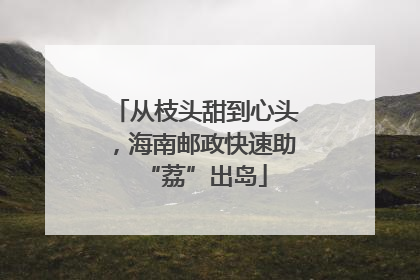 从枝头甜到心头，海南邮政快速助“荔”出岛