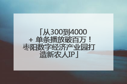 从300到4000+ 单条播放破百万！枣阳数字经济产业园打造新农人IP