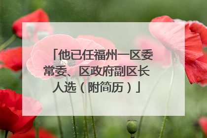 他已任福州一区委常委、区政府副区长人选（附简历）