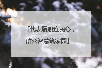 代表履职连民心，群众智慧筑家园