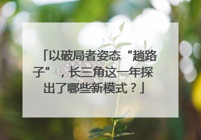 以破局者姿态“趟路子”，长三角这一年探出了哪些新模式？