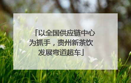 以全国供应链中心为抓手，贵州新茶饮发展弯道超车