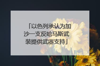 以色列承认为加沙一支反哈马斯武装提供武器支持