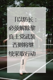 以防长：必须解除黎真主党武装 否则将继续采取行动