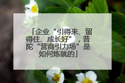 企业“引得来、留得住、成长好”，普陀“营商引力场”是如何炼就的