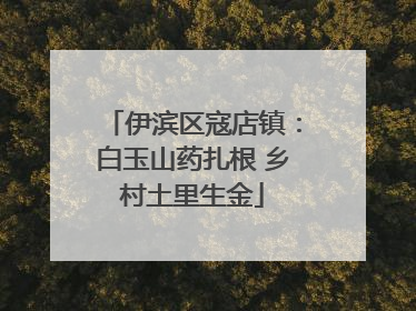 伊滨区寇店镇：白玉山药扎根 乡村土里生金