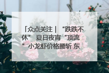 众点关注｜“跌跌不休” 夏日夜宵“顶流”小龙虾价格腰斩 东营人的快乐来了