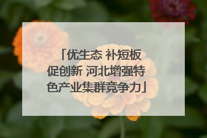 优生态 补短板 促创新 河北增强特色产业集群竞争力