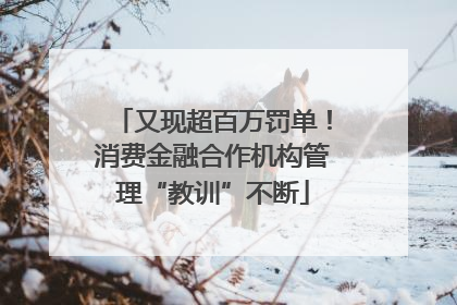 又现超百万罚单！消费金融合作机构管理“教训”不断