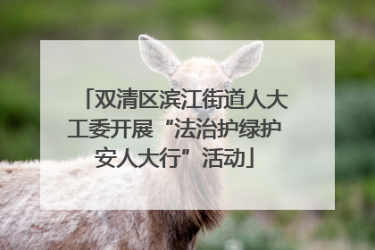 双清区滨江街道人大工委开展“法治护绿护安人大行”活动