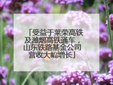 受益于莱荣高铁及潍烟高铁通车，山东铁路基金公司营收大幅增长