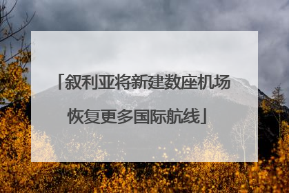 叙利亚将新建数座机场 恢复更多国际航线