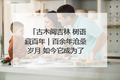 古木阅吉林 树语藏百年｜百余年沧桑岁月 如今它成为了“镇园之宝”