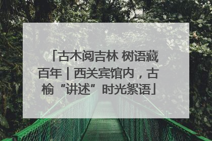 古木阅吉林 树语藏百年｜西关宾馆内，古榆“讲述”时光絮语