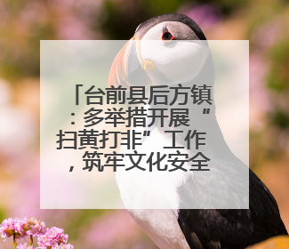 台前县后方镇：多举措开展“扫黄打非”工作，筑牢文化安全防线