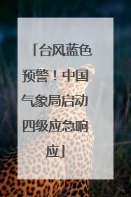 台风蓝色预警！中国气象局启动四级应急响应