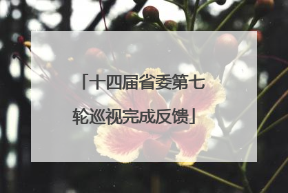 十四届省委第七轮巡视完成反馈
