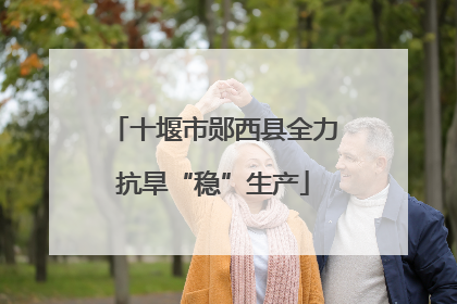 十堰市郧西县全力抗旱“稳”生产