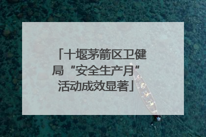 十堰茅箭区卫健局“安全生产月”活动成效显著