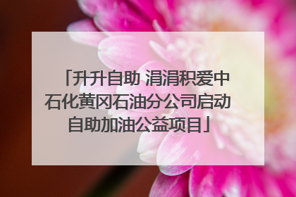 升升自助 涓涓积爱中石化黄冈石油分公司启动自助加油公益项目