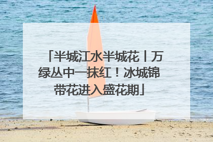 半城江水半城花丨万绿丛中一抹红！冰城锦带花进入盛花期