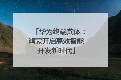 华为终端龚体：鸿蒙开启高效智能开发新时代