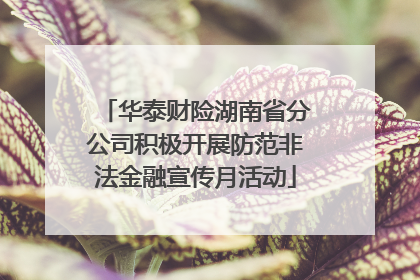 华泰财险湖南省分公司积极开展防范非法金融宣传月活动