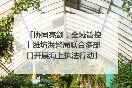 协同亮剑，全域管控丨潍坊海警局联合多部门开展海上执法行动