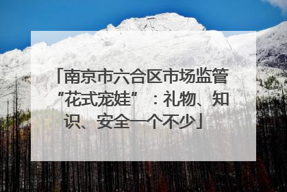 南京市六合区市场监管“花式宠娃”：礼物、知识、安全一个不少