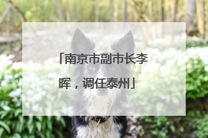 南京市副市长李晖，调任泰州