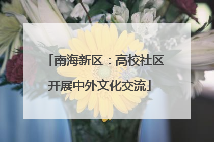 南海新区：高校社区开展中外文化交流