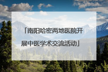 南阳哈密两地医院开展中医学术交流活动