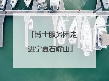 博士服务团走进宁夏石嘴山