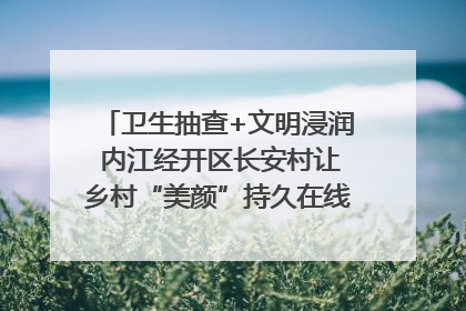 卫生抽查+文明浸润 内江经开区长安村让乡村“美颜”持久在线｜万千气象看四川