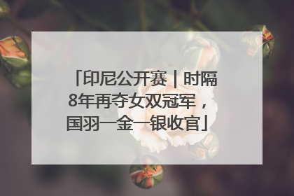 印尼公开赛｜时隔8年再夺女双冠军，国羽一金一银收官