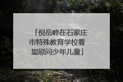 倪岳峰在石家庄市特殊教育学校看望慰问少年儿童