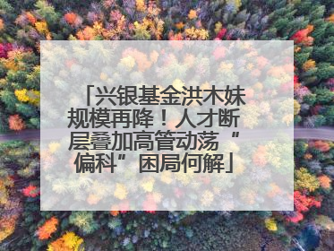 兴银基金洪木妹规模再降！人才断层叠加高管动荡“偏科”困局何解