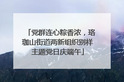 党群连心粽香浓，珞珈山街道两新组织别样主题党日庆端午