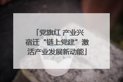 党旗红 产业兴 宿迁“链上党建”激活产业发展新动能