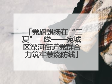 党旗飘扬在“三夏”一线——宛城区溧河街道党群合力筑牢禁烧防线