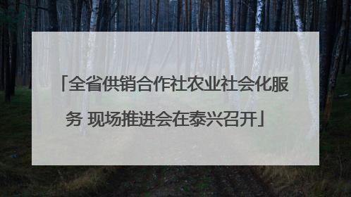全省供销合作社农业社会化服务 现场推进会在泰兴召开